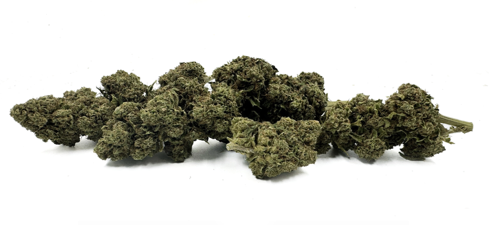 White Widow