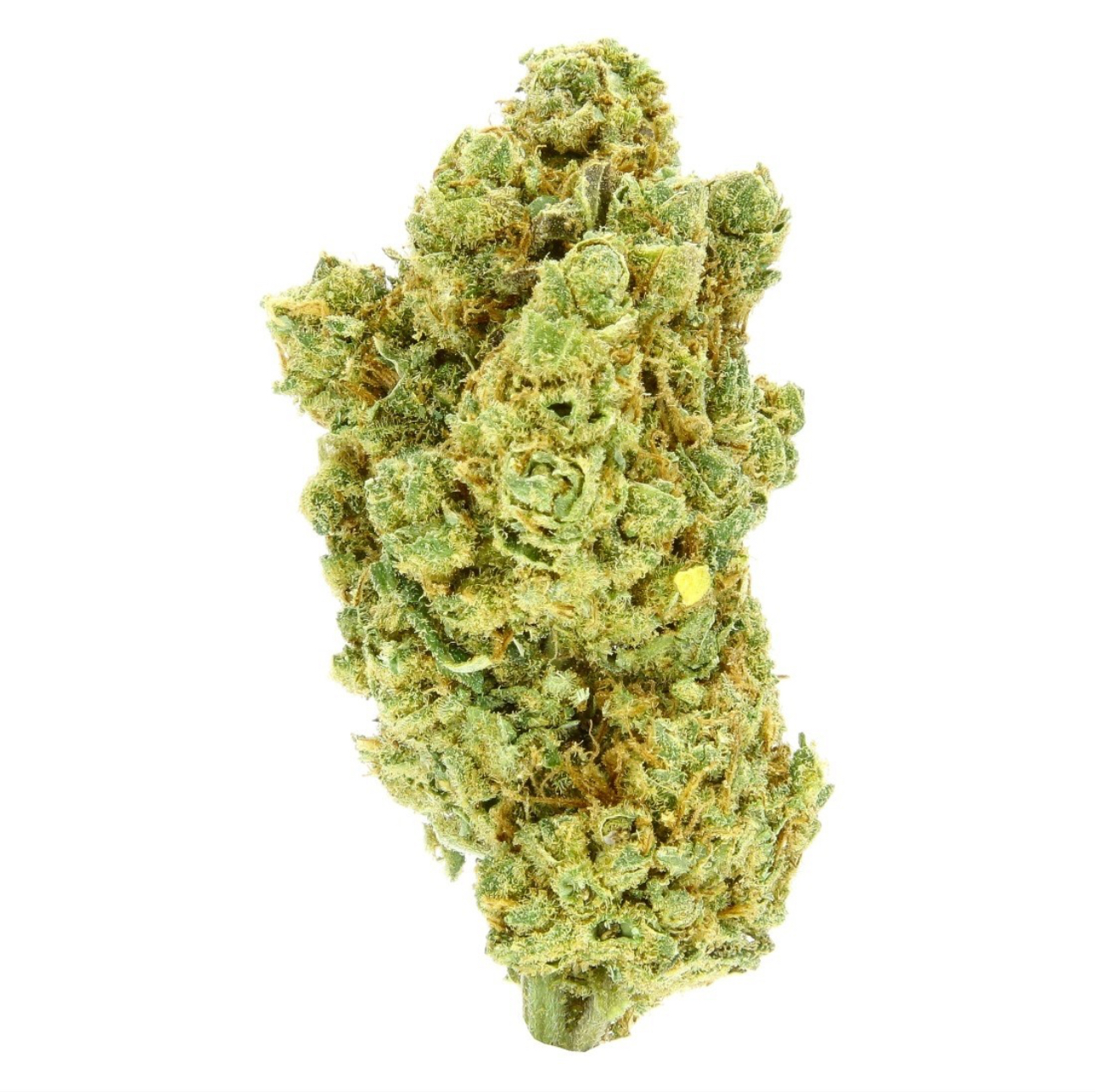 Amnesia Haze