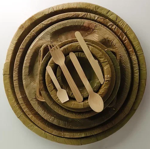 Eco-friendly Disposable Tableware Set