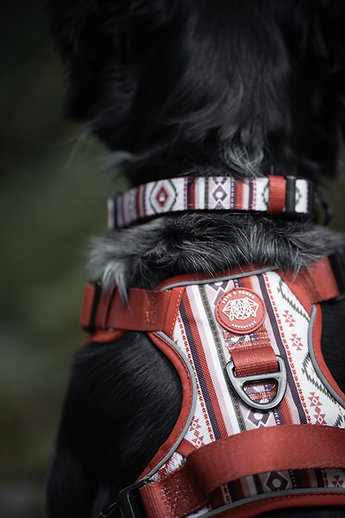 Pets&props antkaklis