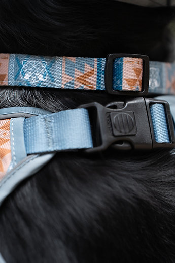 Pets&props antkaklis