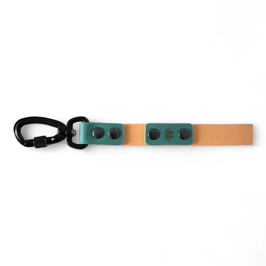 Pets&props pavadėlis