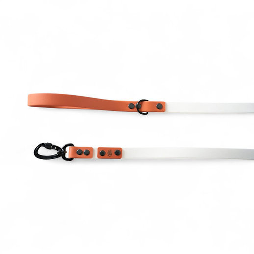 Pets&props pavadėlis