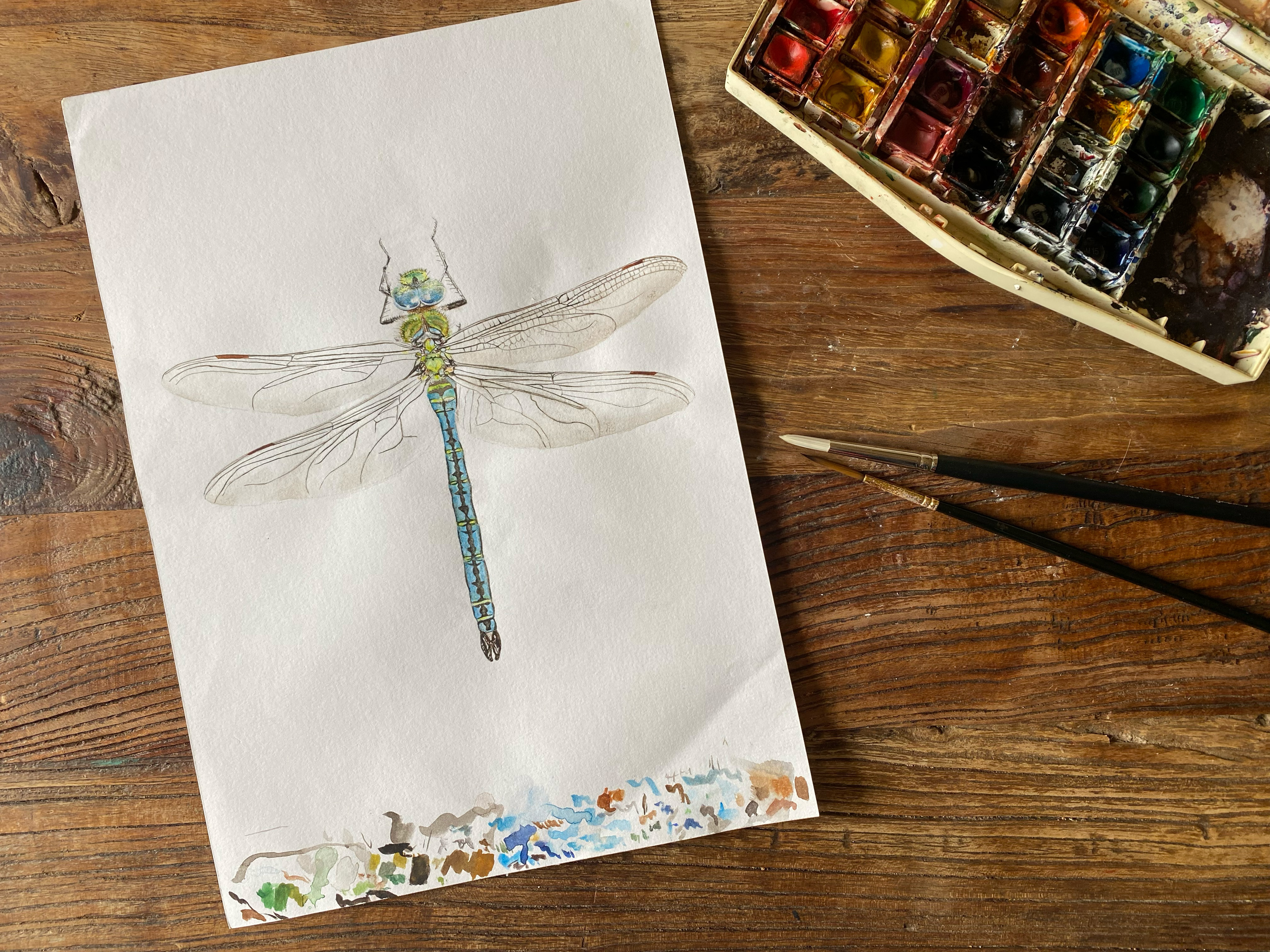 Hand painted Water Colour Dragonfly Greetings card