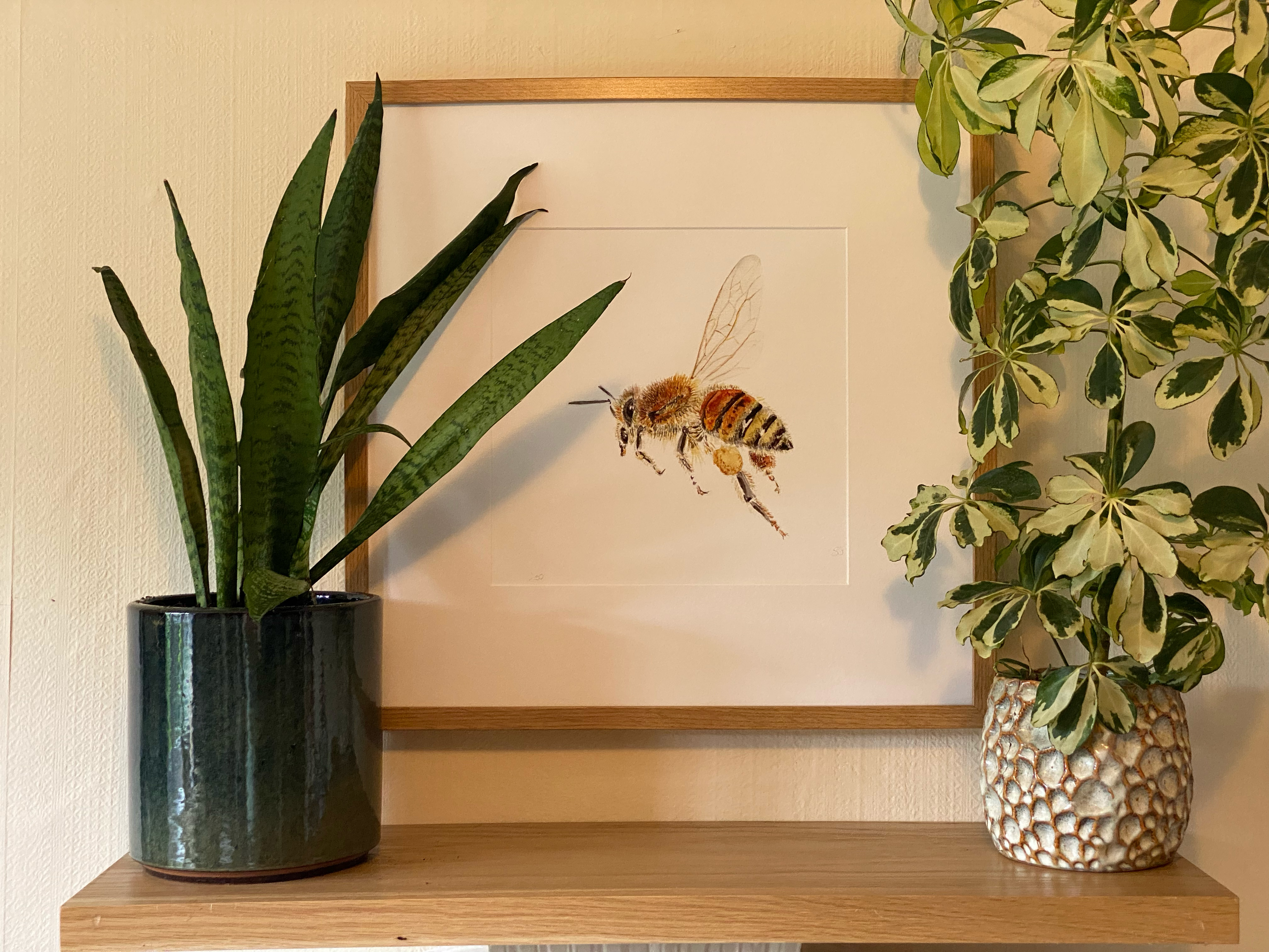 Framed PRINT from Handpainted Watercolour 'Honey Bee'