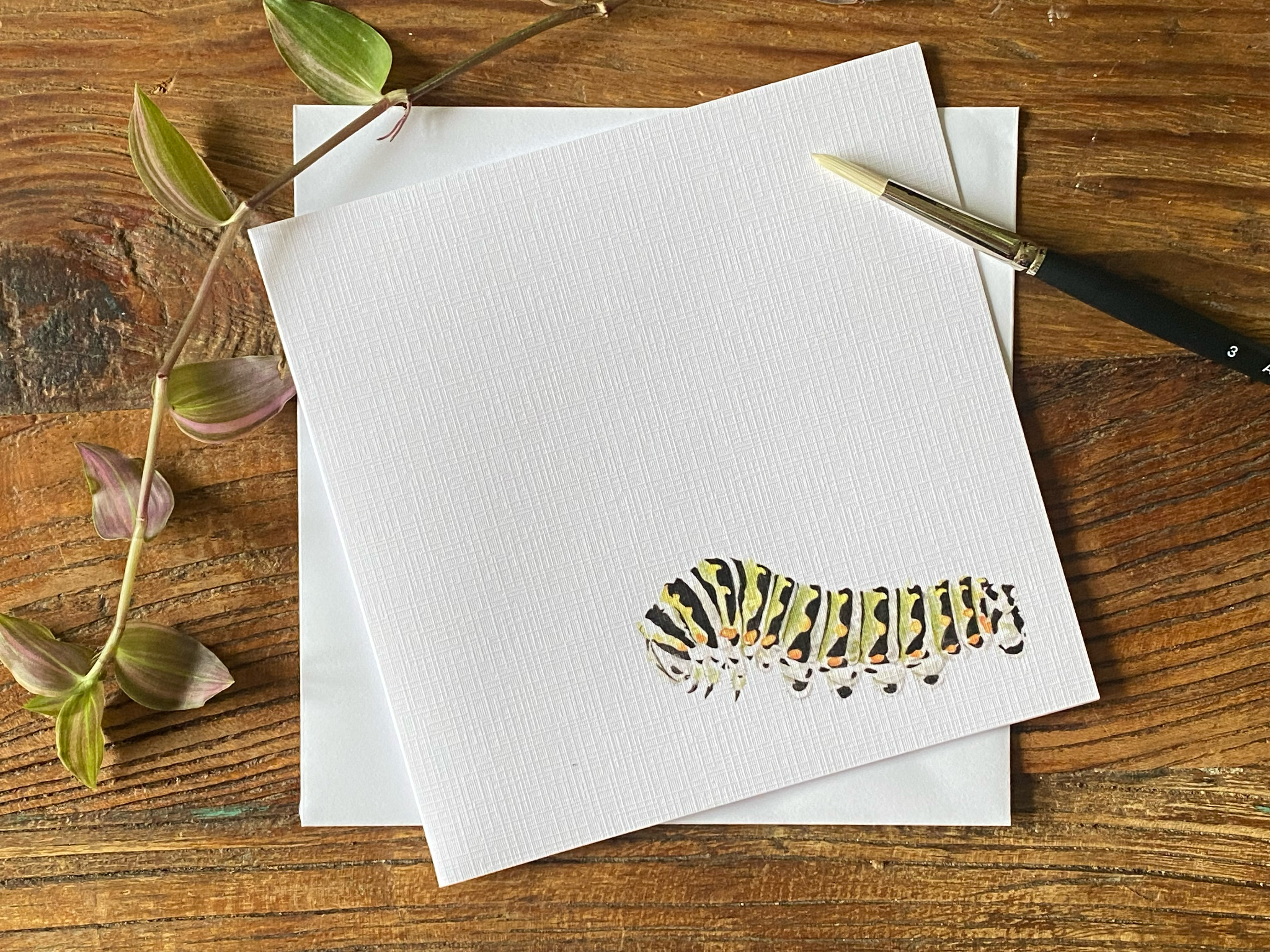 Hand Drawn 'Swallowtail' Caterpillar Greetings card