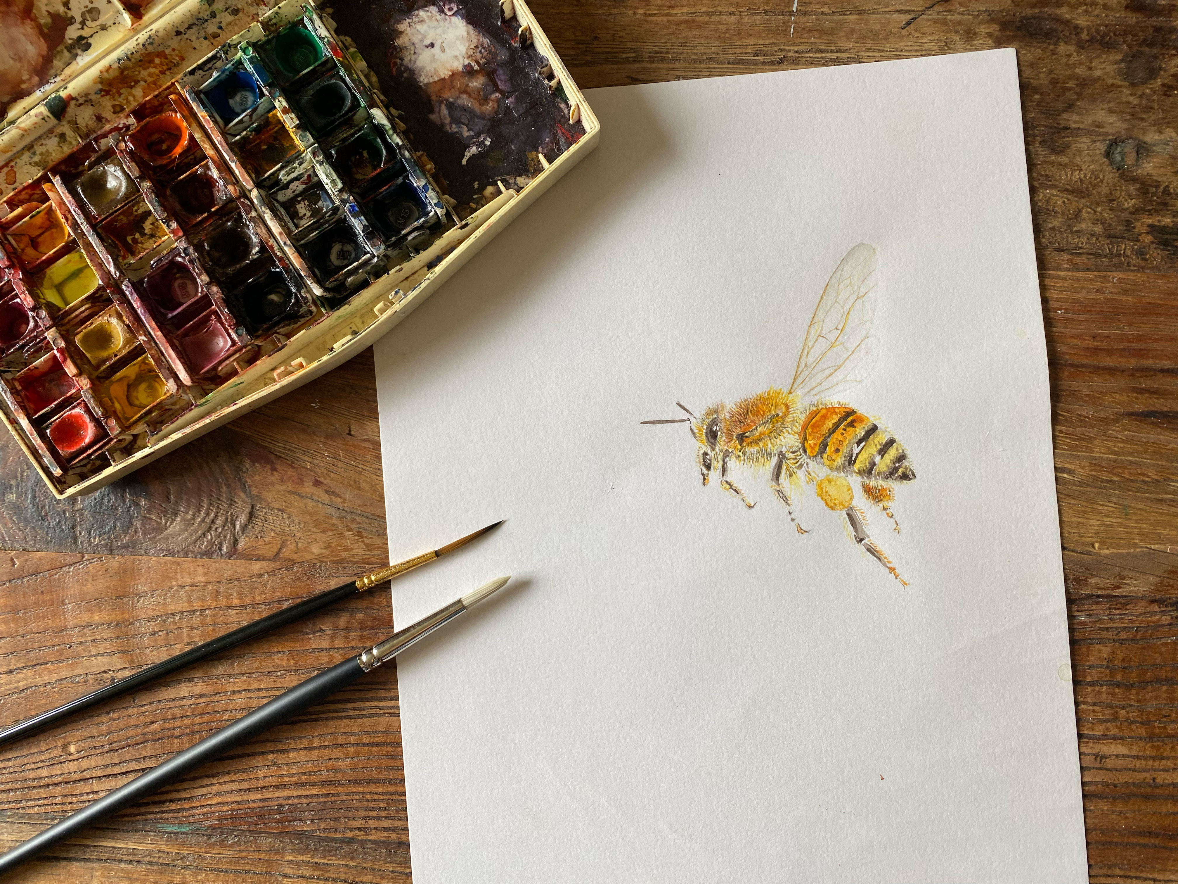 Framed PRINT from Handpainted Watercolour 'Honey Bee'