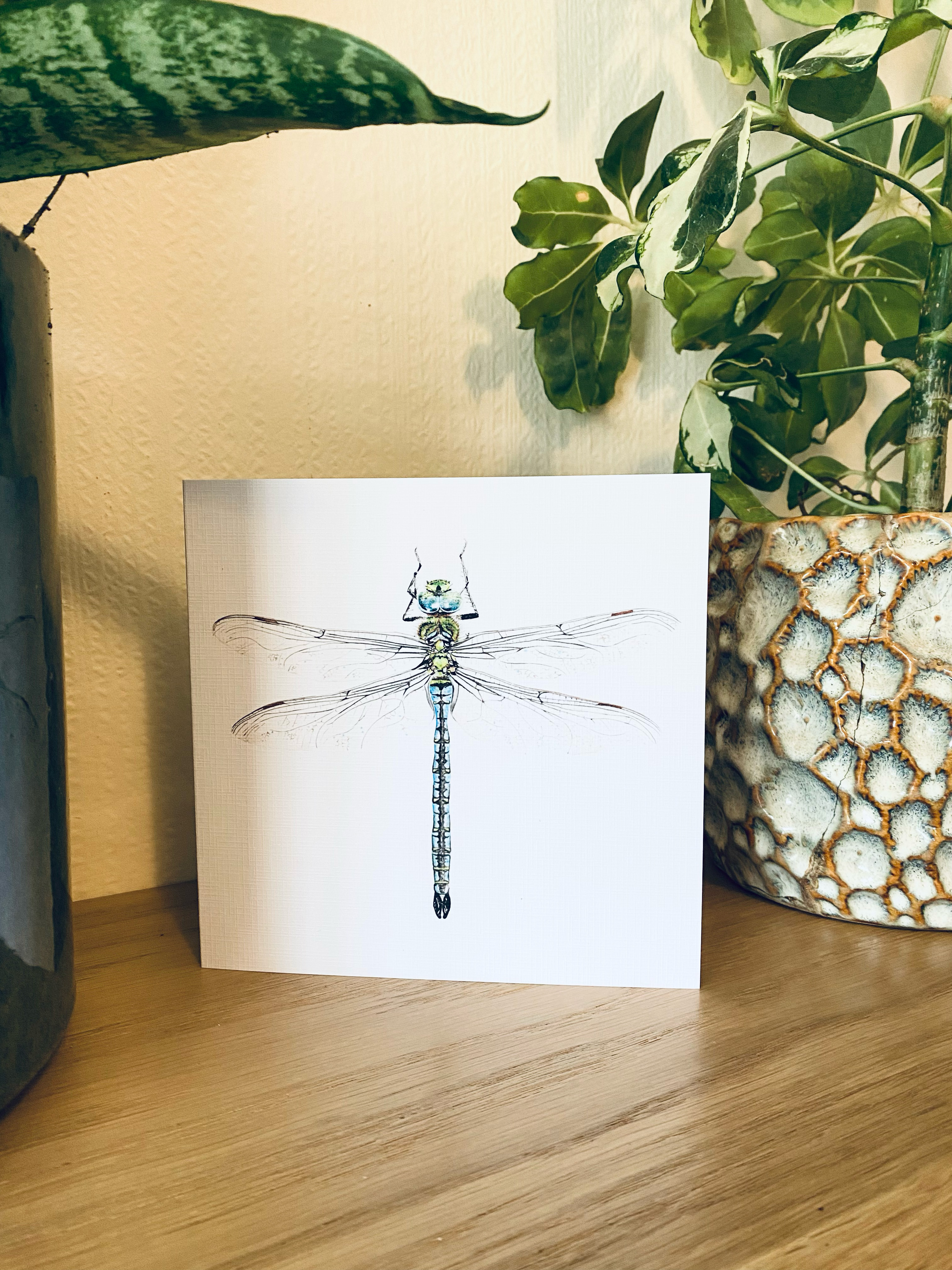 Hand painted Water Colour Dragonfly Greetings card