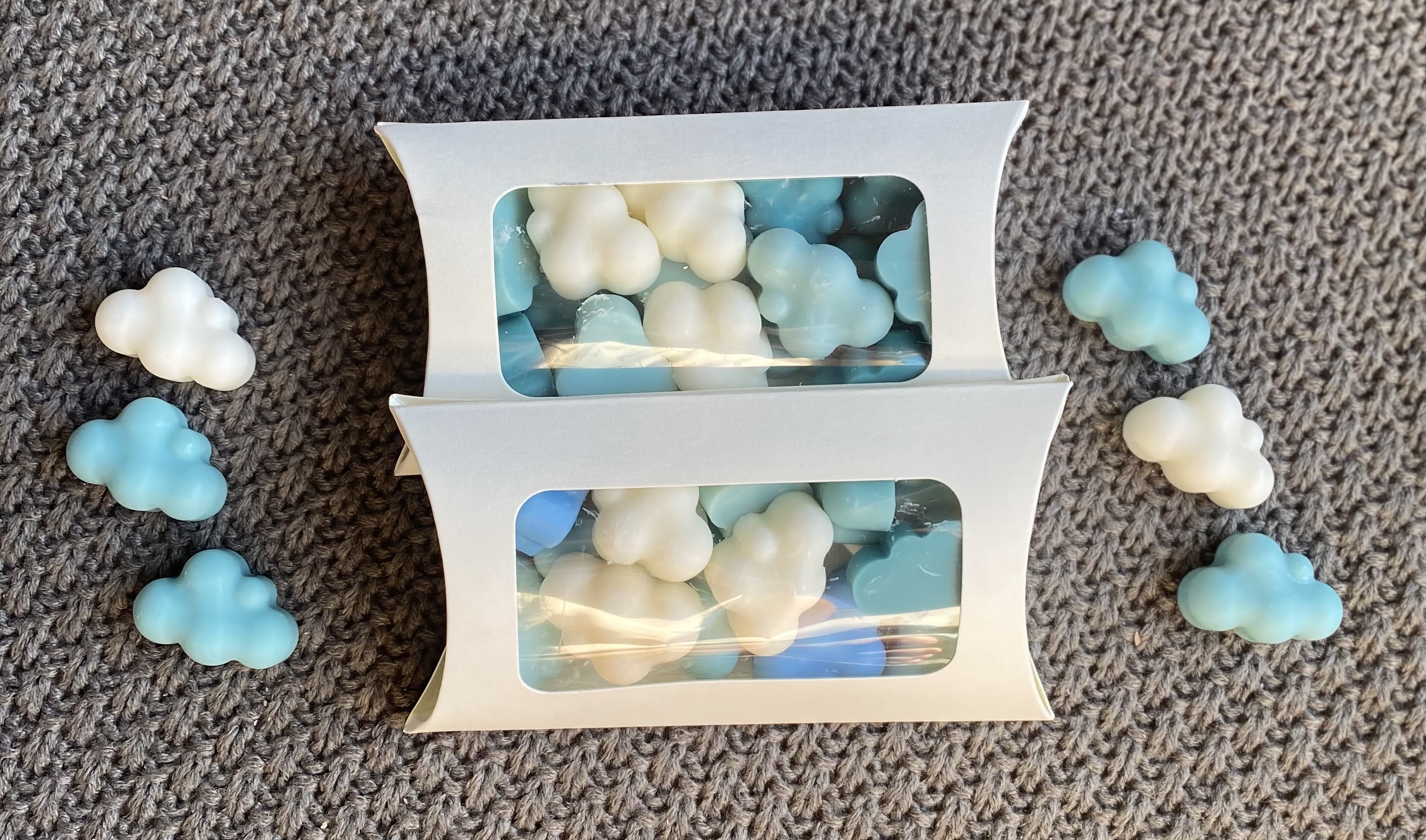 Wax Melts Ropa Limpia