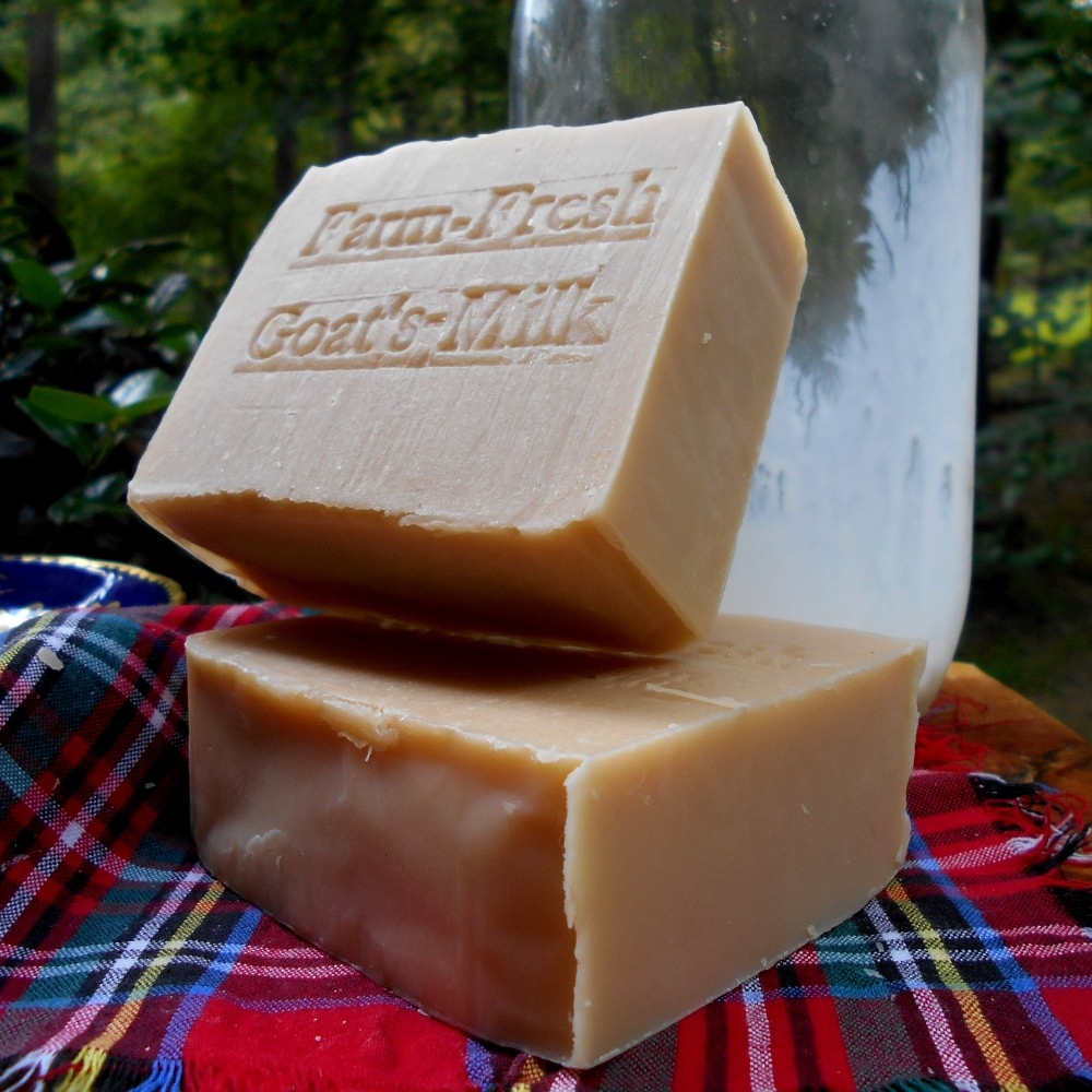 Earthly Bliss Goat's Milk Soap