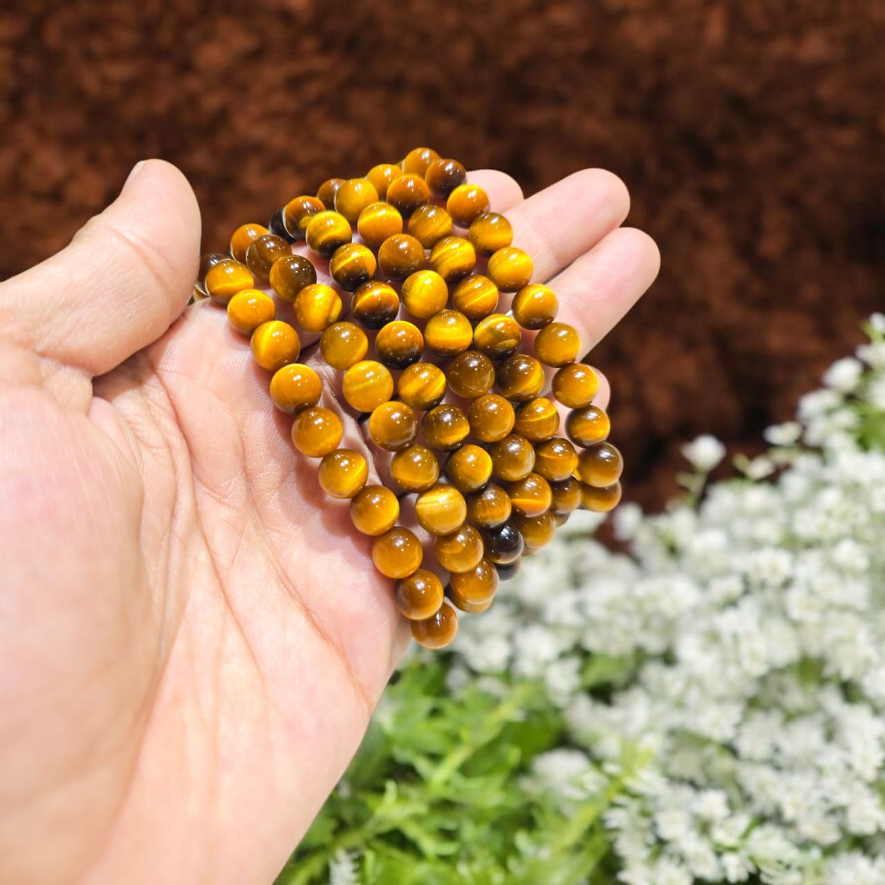Natural Tiger Eye AAA+ Bracelet 8mm