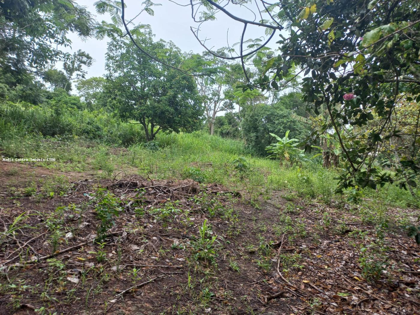 Vila Tur, Saquarema - RJ