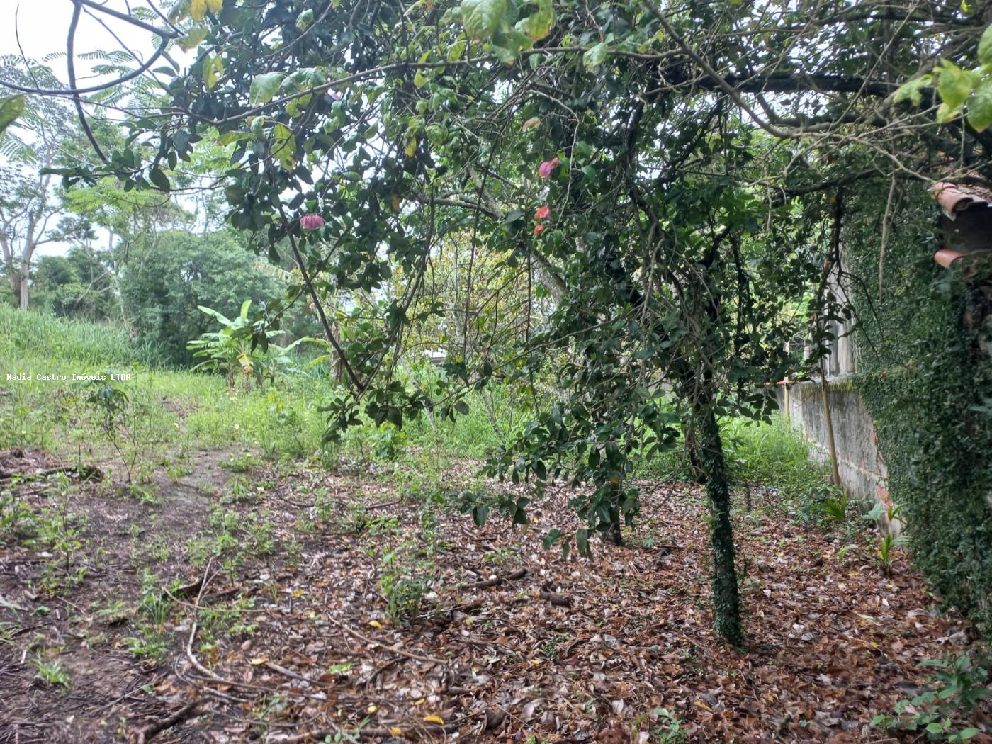 Vila Tur, Saquarema - RJ