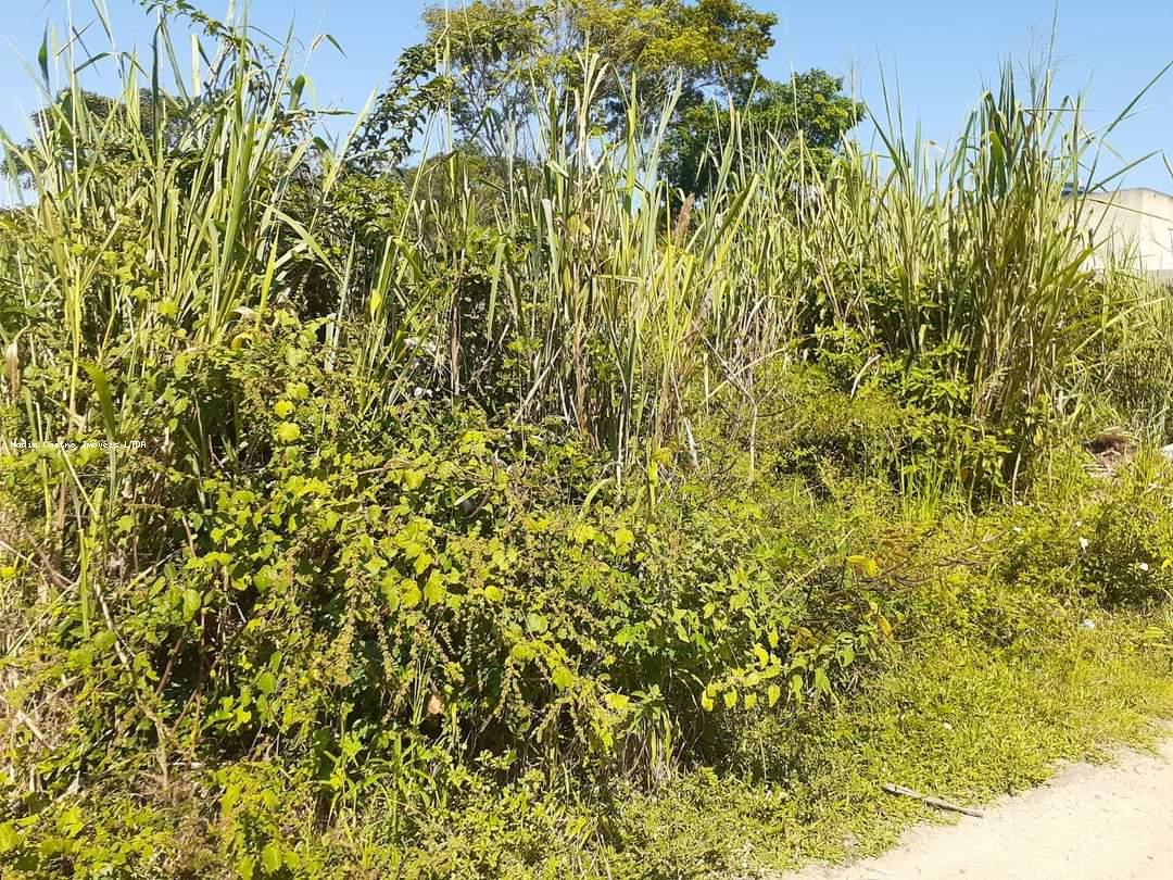 Paracatu, Araruama - RJ