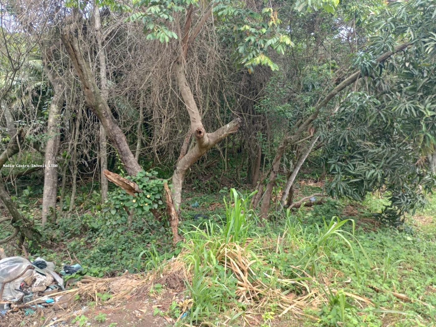 Itapuaçu, Maricá - RJ