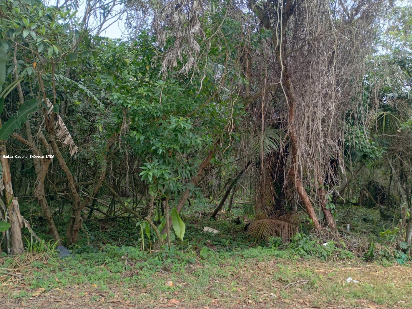 Itapuaçu, Maricá - RJ