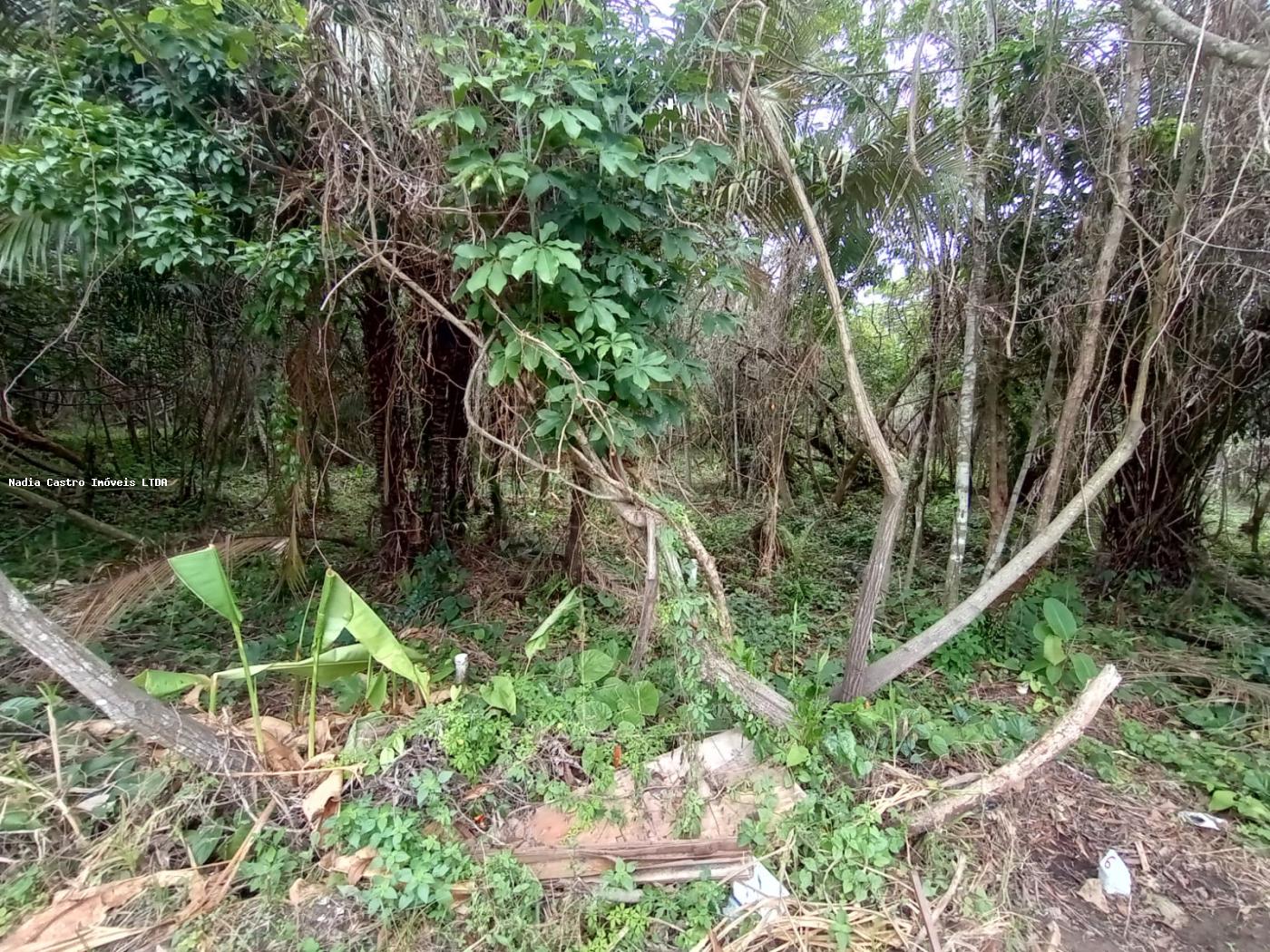 Itapuaçu, Maricá - RJ