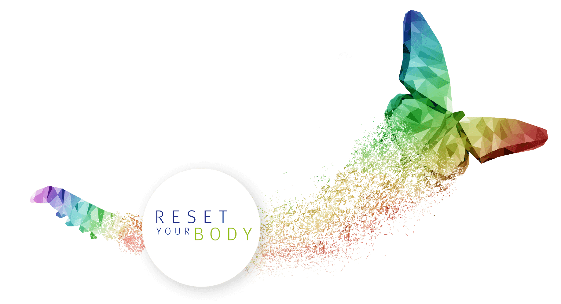 Metabolic Balance Program