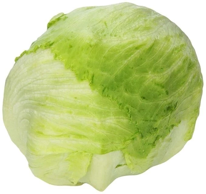 Lechuga iceberg