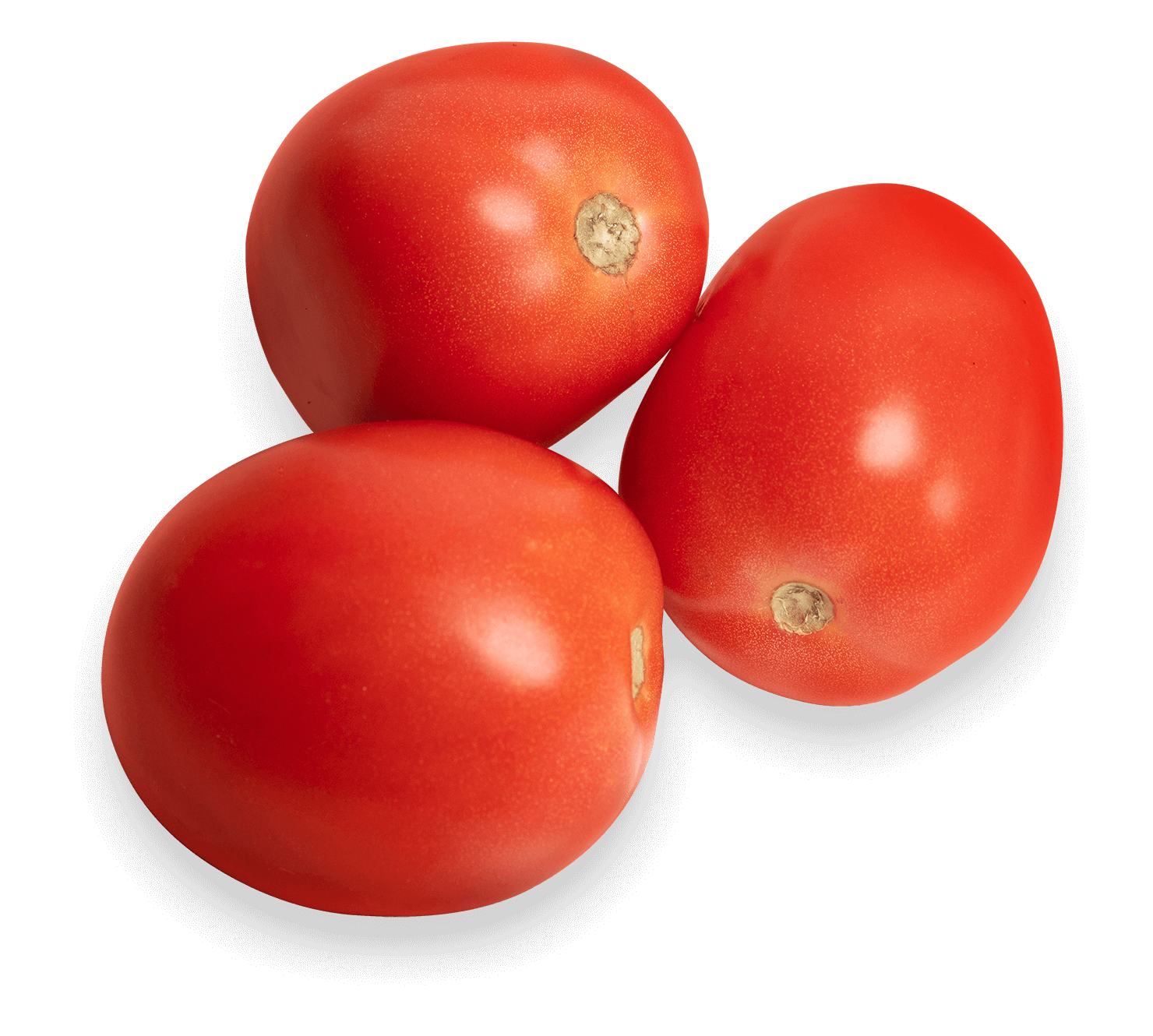 Tomates frescos