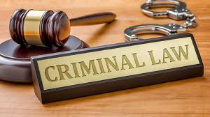 3. Group C- Criminal Matters
