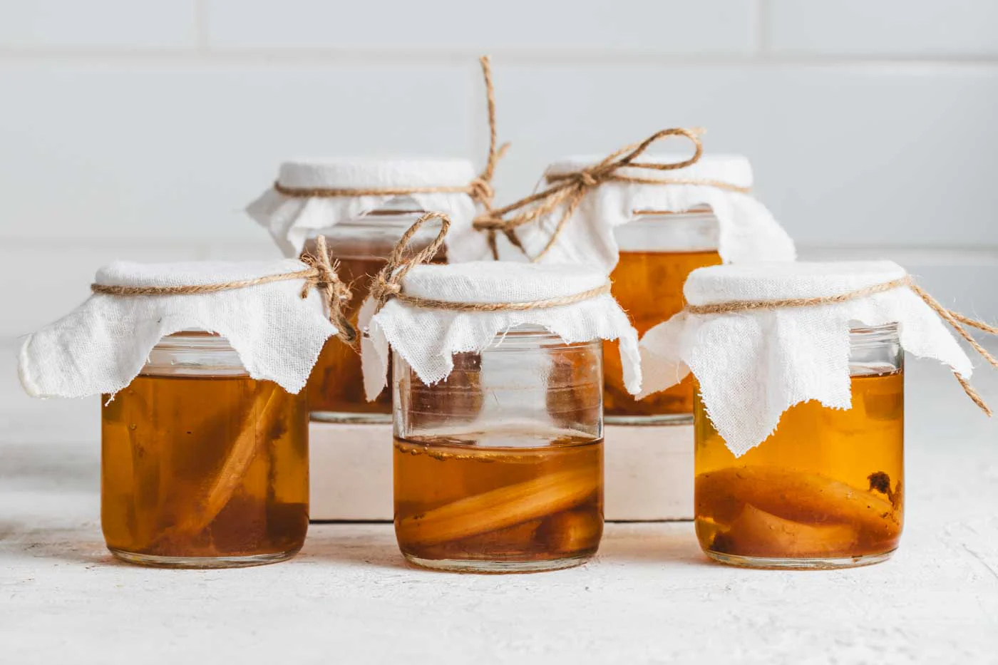 Organic Kombucha Scoby