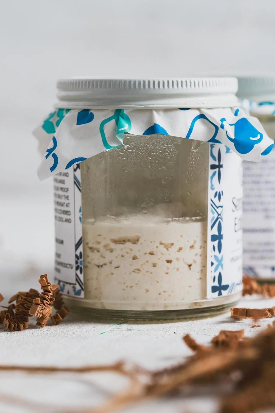 Gluten-Free Sourdough Starter
