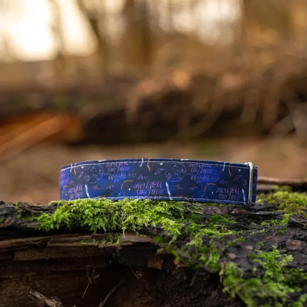 Blue Galaxy Dog Collar