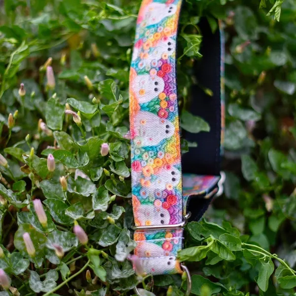 Colorful Dog Collar