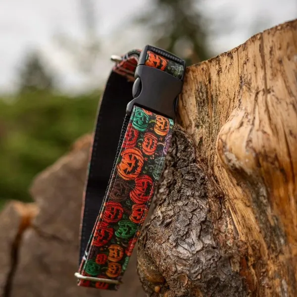 Colorful Patterned Dog Collar