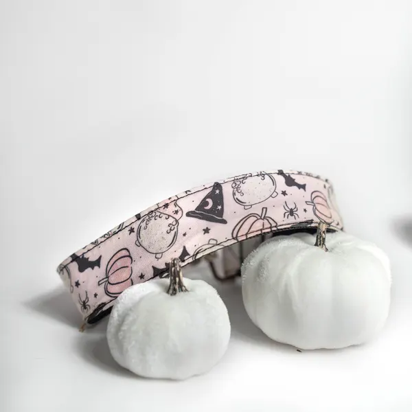 Halloween Themed Pet Collar
