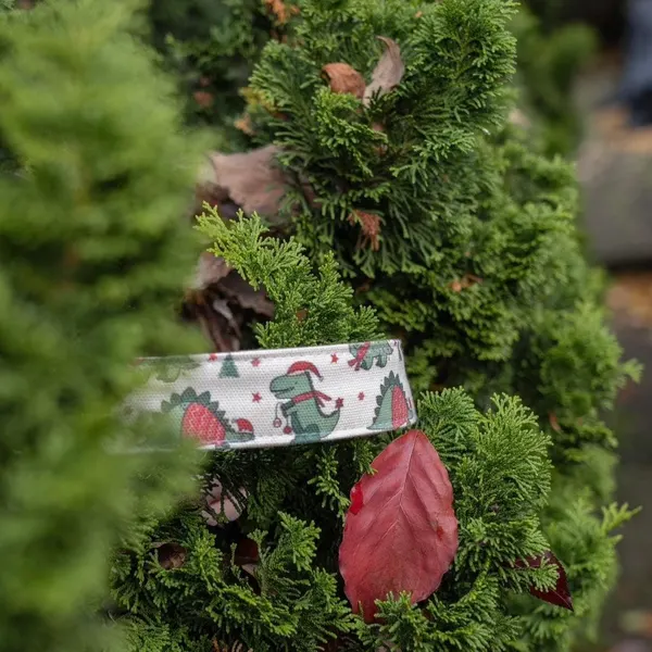 Festive Dinosaur Printed Wristband