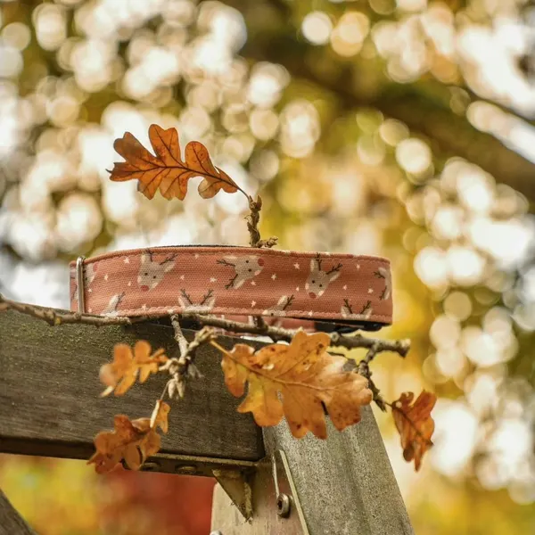 Decorative Plant Pot with Oak Sapling