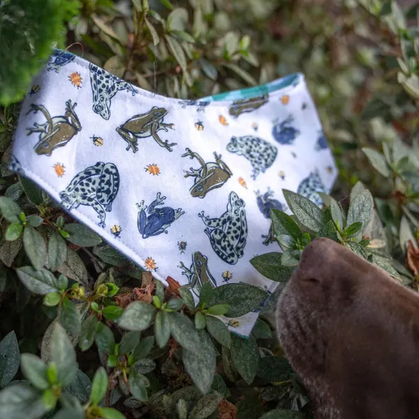 Frog Pattern Dog Bandana