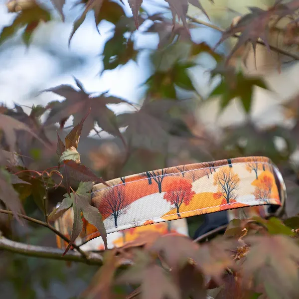 Autumn Trees Patterned Dog Collar