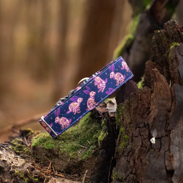 Purple Astronaut Dog Collar