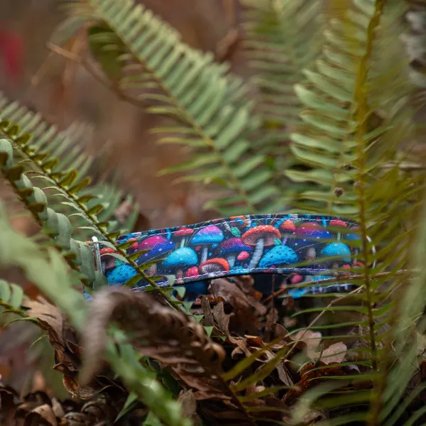 Colorful mushroom-themed dog collar