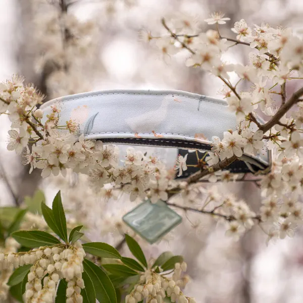 Spring Blossom Pet Collar