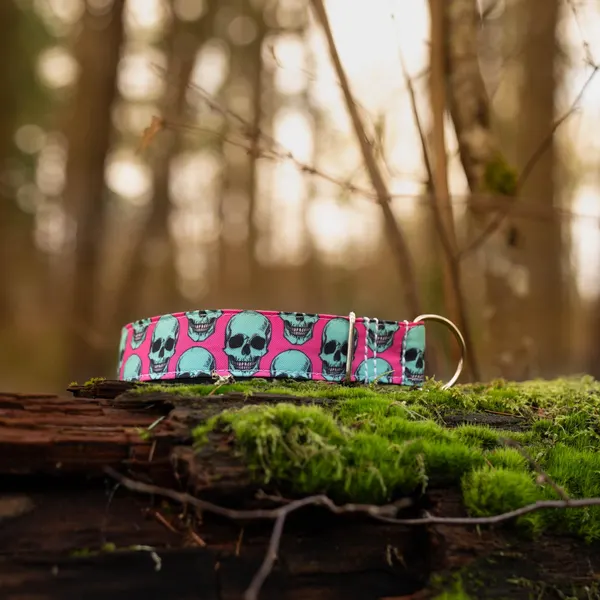 Pink Skull Design Dog Collar