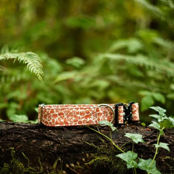 Giraffe Print Dog Collar