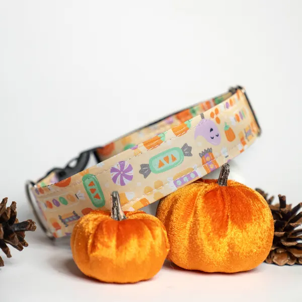 Halloween-themed pet collar