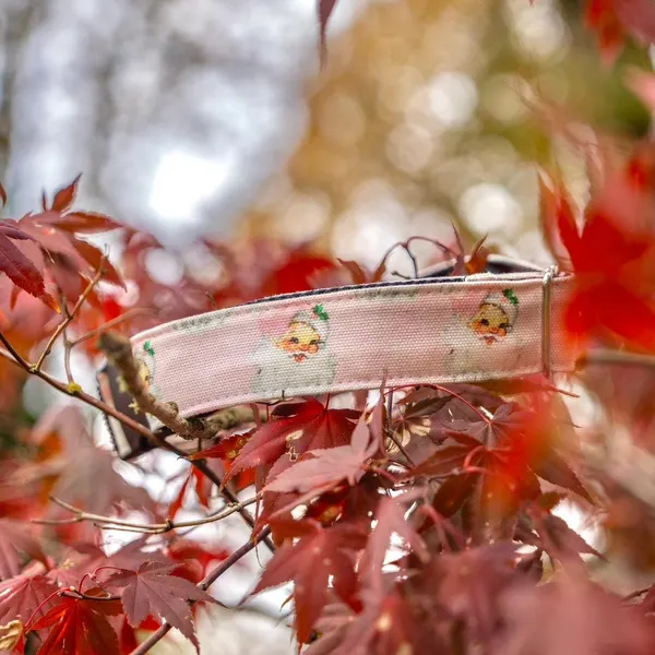 Christmas-themed dog collar