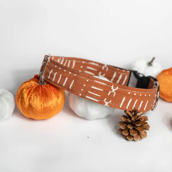 Boho Style Dog Collar