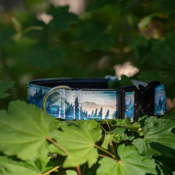 Forest Adventure Dog Collar