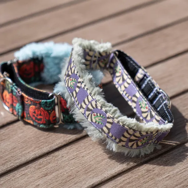Fuzzy Beetle Juice Dog Collar - Buckle or Martingale