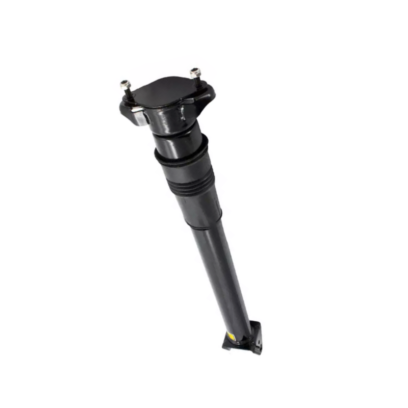 A2513202231 Rear Shock Absorber Fits Mercedes Benz W251 R280 R350 R500 