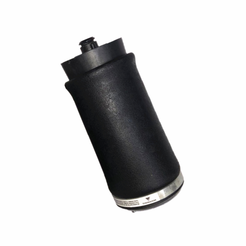 37126750355 37126750356 Rear Air Suspension Spring Fits BMW X5 E53