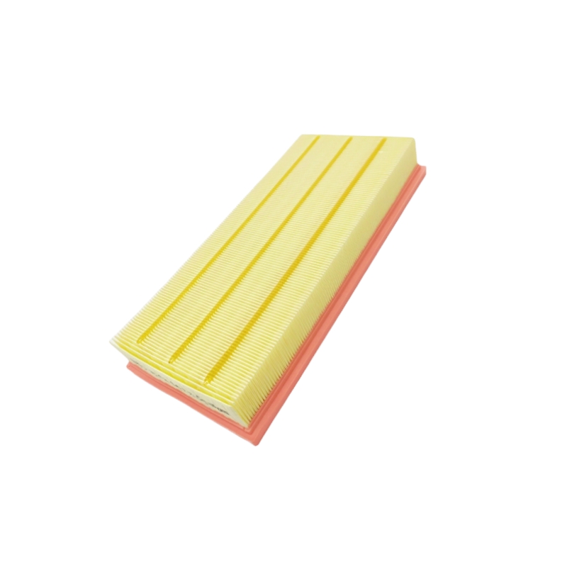 LR011593 Air Filter Fits Land Rover Range Rover L322 L405 Sport L320 L494 L462 L319