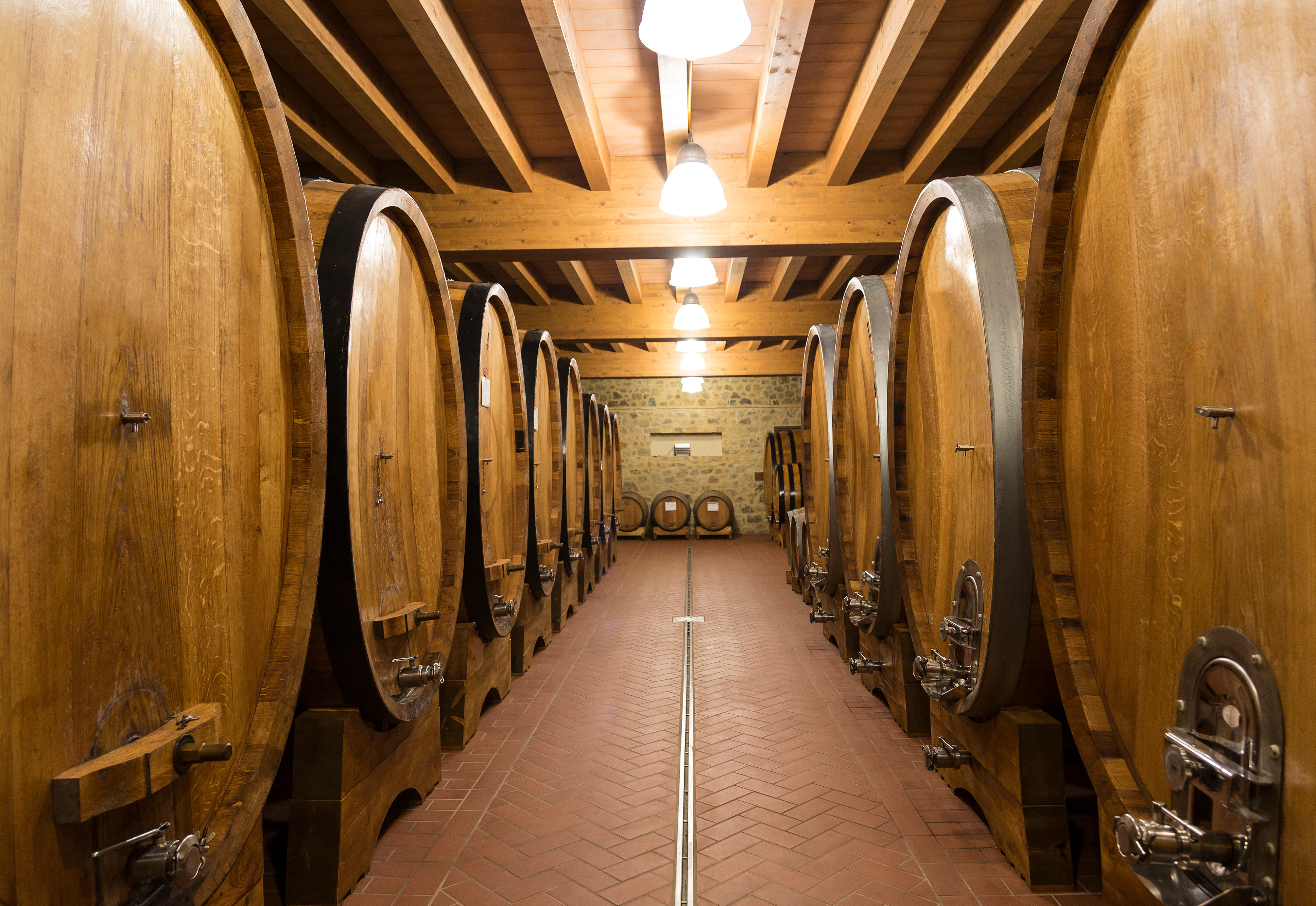 Ultimate Tequila Adventure: 