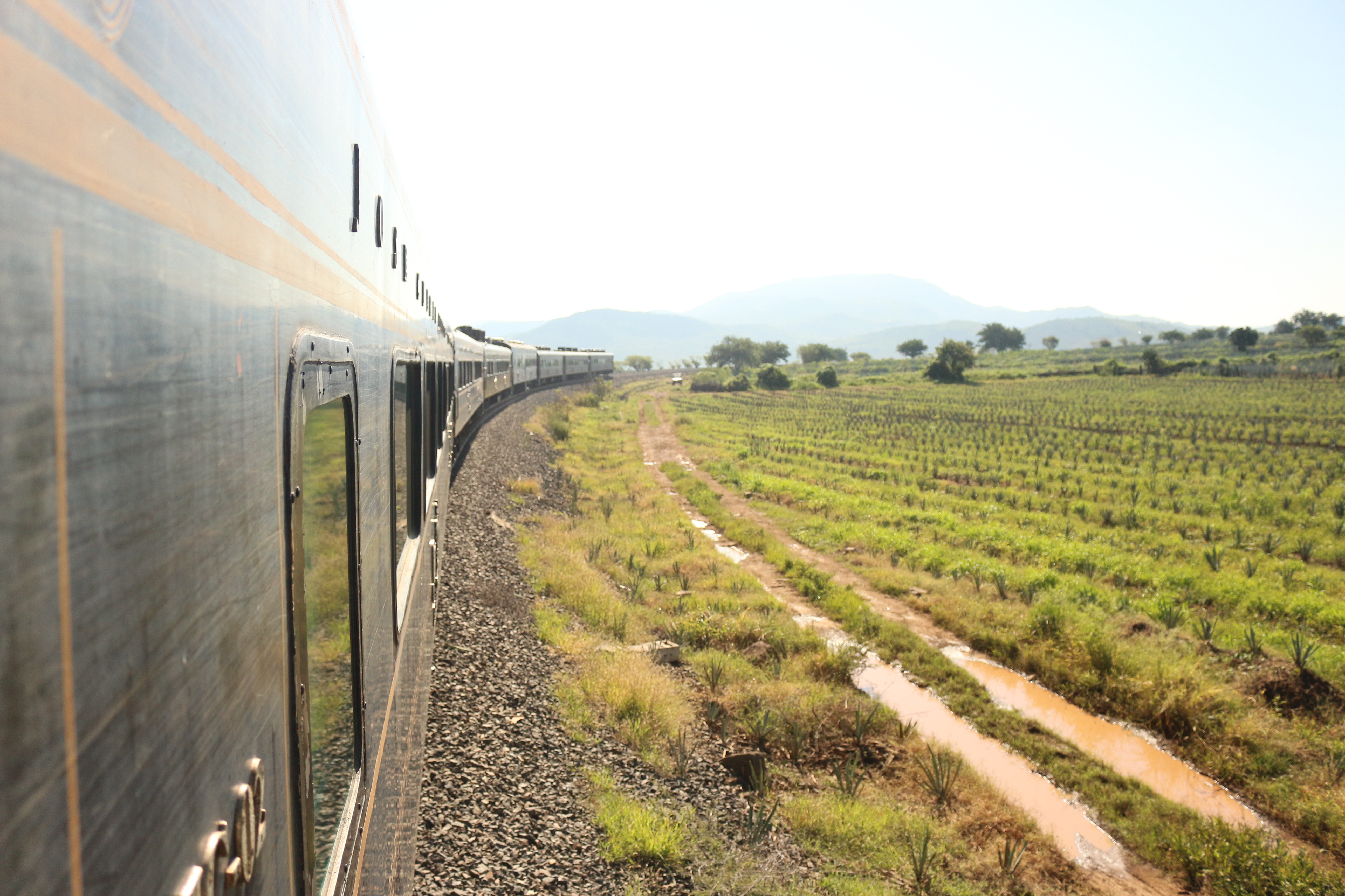 Ultimate Tequila Adventure: 